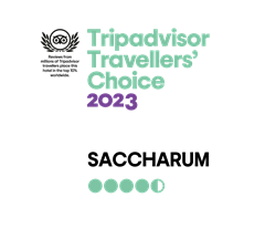 Travelers’-Choice-2023-–-TripAdvisor-Saccharum.png